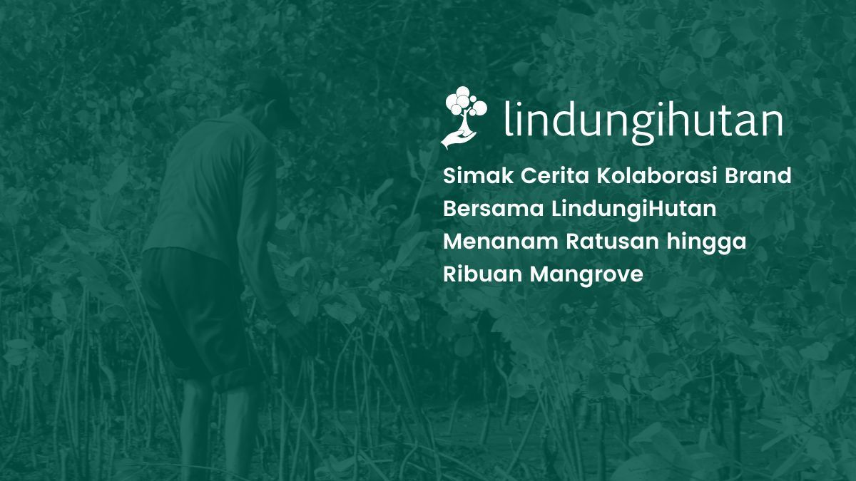 Kolaborasi menanam mangrove brand bersama LindungiHutan