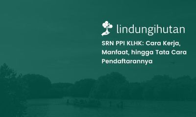 SRN PPI adalah