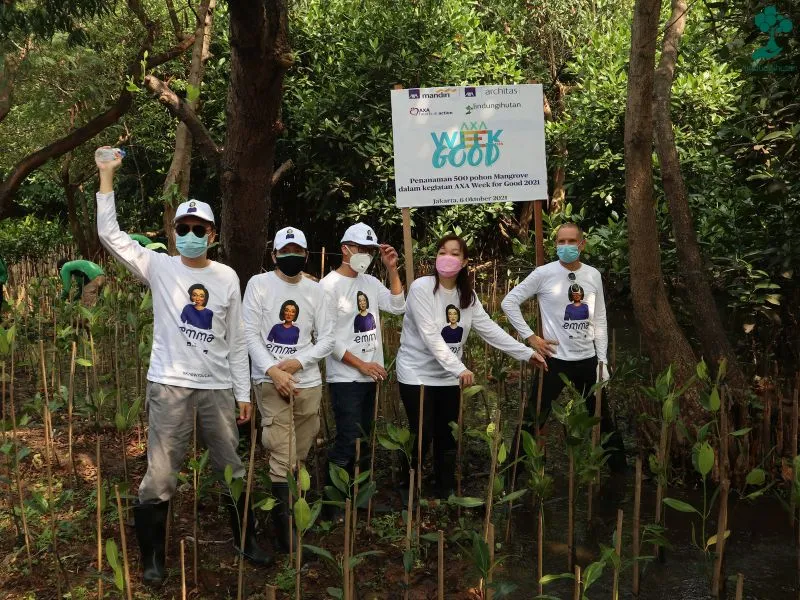 AXA Insurance Berbagi Pengalaman Kolaborasi Hijau dengan LindungiHutan 84 AXA Indonesia menanam mangrove di Ekowisata PIK 1