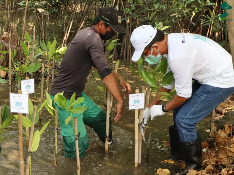 AXA Insurance Berbagi Pengalaman Kolaborasi Hijau dengan LindungiHutan 85 AXA di Indonesia menanam mangrove dalam kampanye AXA Week for Good 1