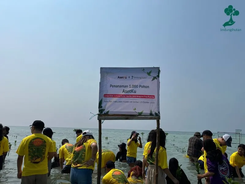 Asetku menanam mangrove di Pulau Pari Kepulauan Seribu