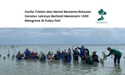Campaign Penanaman Mangrove Tristan dan Narrel