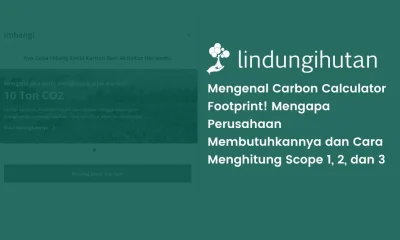 Carbon calculator footprint