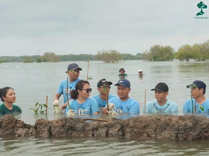 AXA Insurance Berbagi Pengalaman Kolaborasi Hijau dengan LindungiHutan 82 Foto penanaman AXA Insurance di Bekasi 1