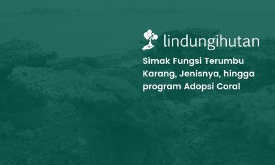 Fungsi terumbu karang