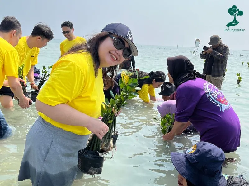 Gambar penanaman mangrove 2