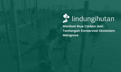 Manfaat Blue Carbon