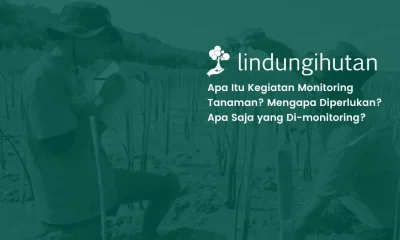 Monitoring tanaman
