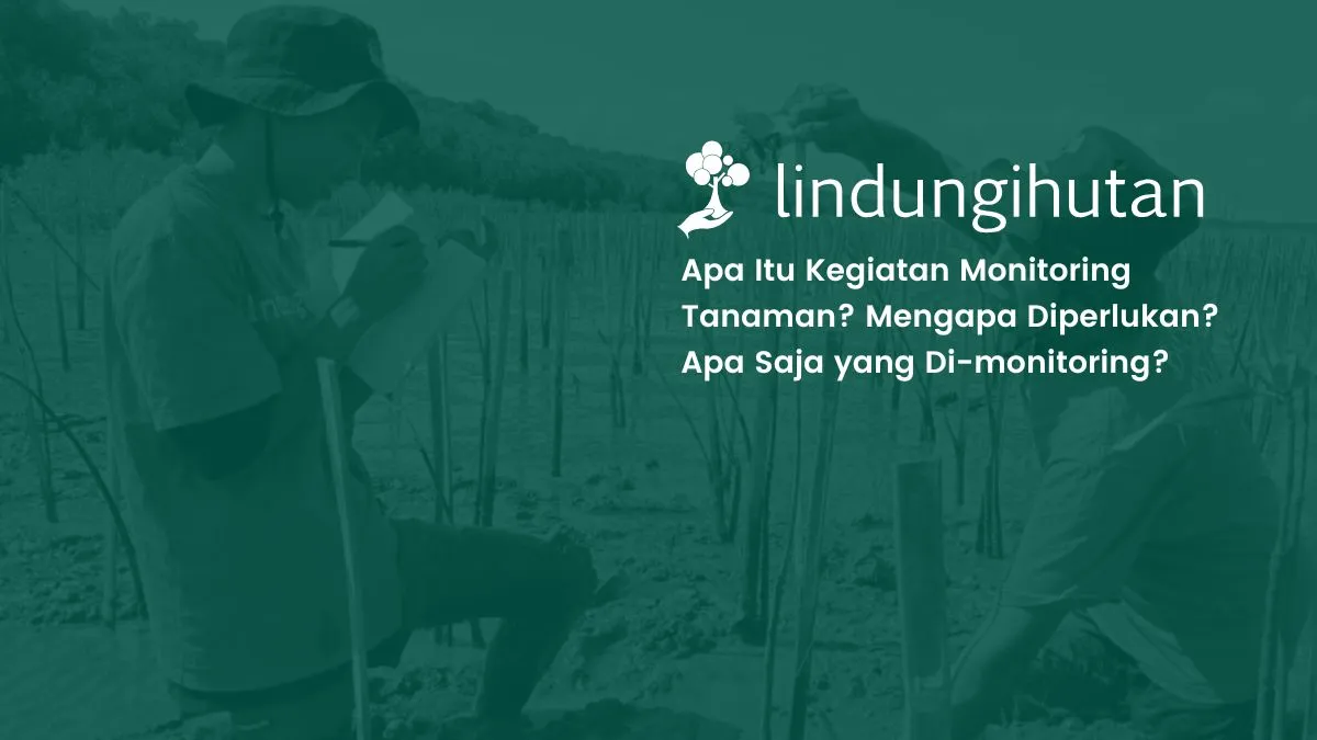 Monitoring tanaman