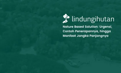 Nature Based Solution