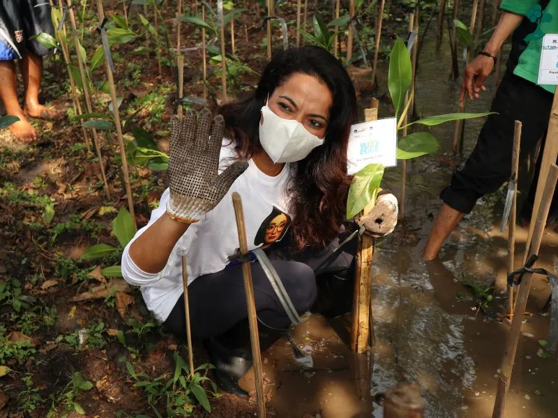 AXA Insurance Berbagi Pengalaman Kolaborasi Hijau dengan LindungiHutan 86 Penanaman mangrove AXA Indonesia di Ekowisata Mangrove Pantai Indah Kapuk 1