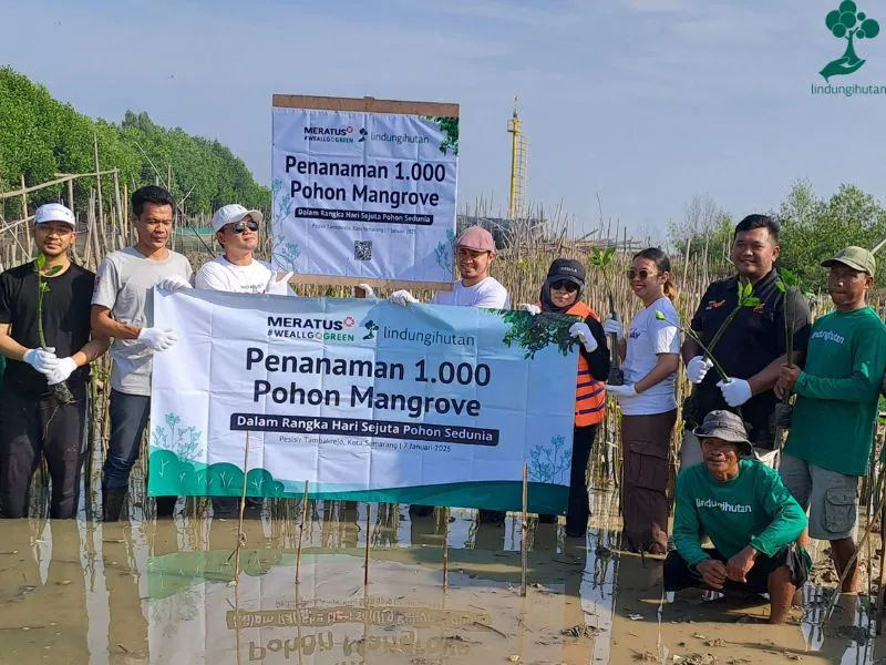 Penanaman mangrove Meratus Group