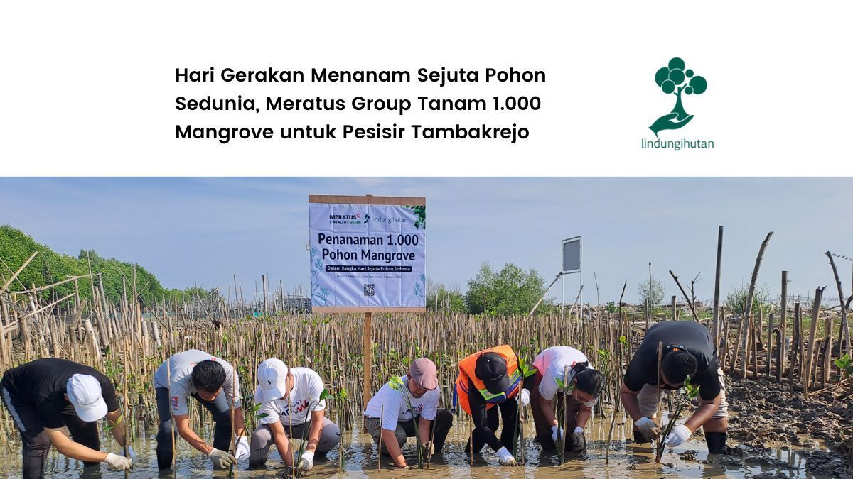 Program CSR Meratus Group
