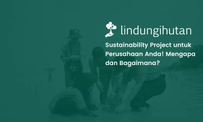Sustainability project