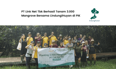 Penanaman PT Link Net Tbk