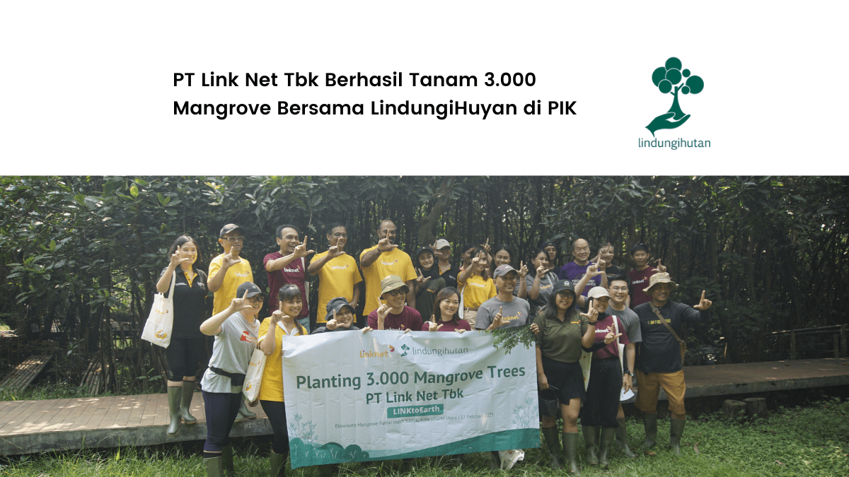 Penanaman PT Link Net Tbk