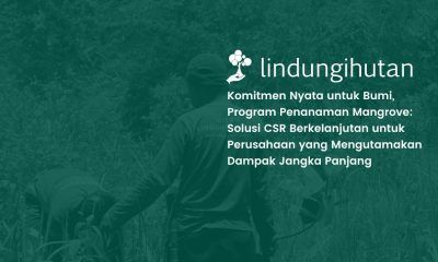 Program Penanaman Mangrove