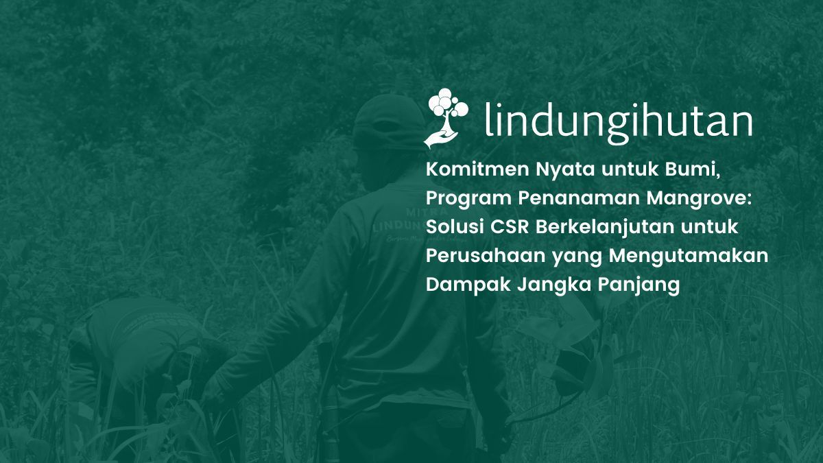 Program Penanaman Mangrove
