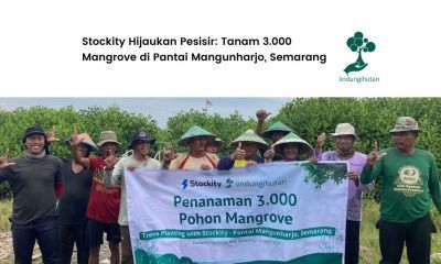 aksi hijau stockity 1