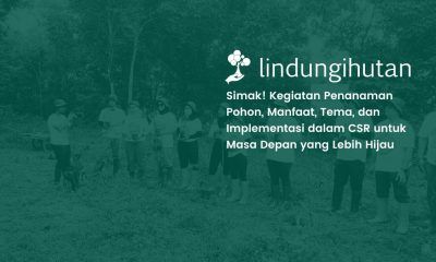 kegiatan penanaman pohon LindungiHutan