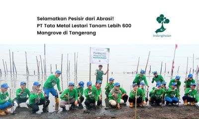 pt tata metal lestari tata logam