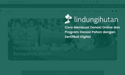donasi pohon lindungihutan