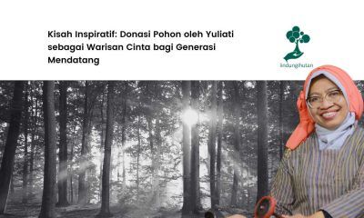 donasi pohon yuliati