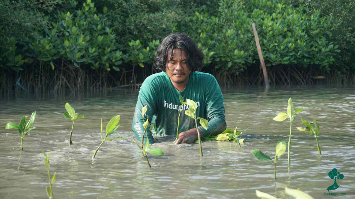 mas antok pesisir trimulyo penggerak