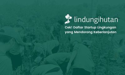 startup lingkungan