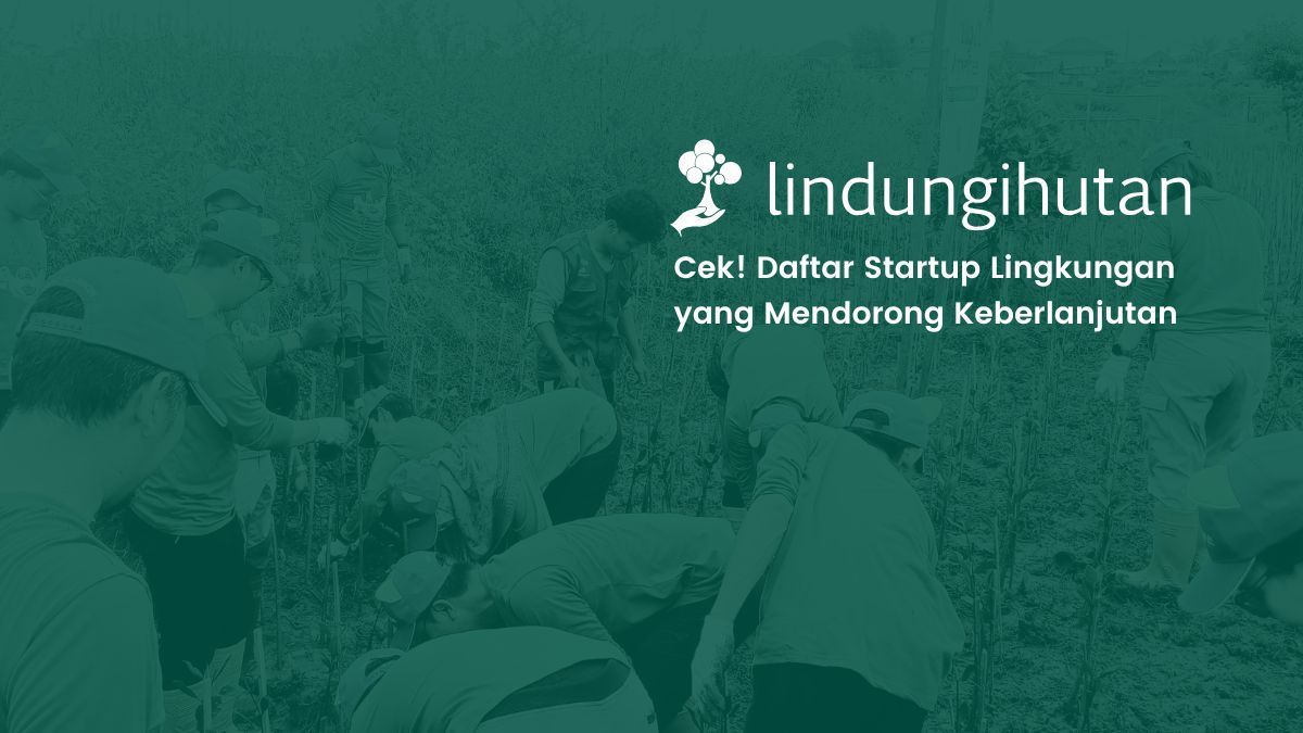 startup lingkungan