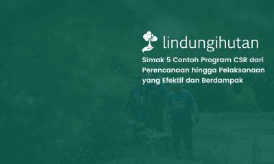 5 contoh program csr perusahaan