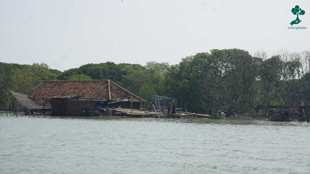 desa bedono semarang outing lindungihutan