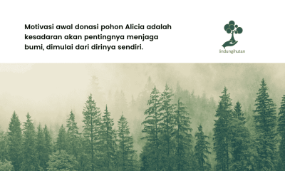 donasi pohon Alicia