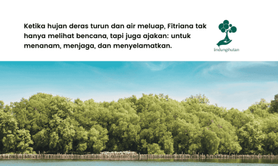 donasi pohon fitriana