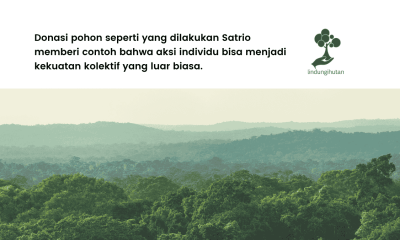 donasi pohon satrio
