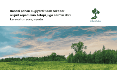 donasi pohon sugiyarti