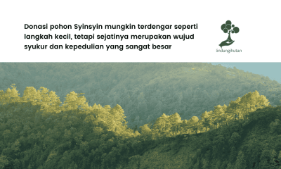 donasi pohon syinsyin