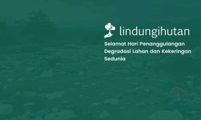hari penanggulangan degradasi lahan dan kekeringan sedunia lindungihutan