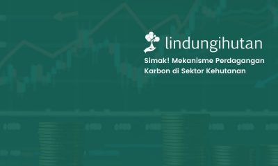 mekanisme perdagangan karbon kehutanan