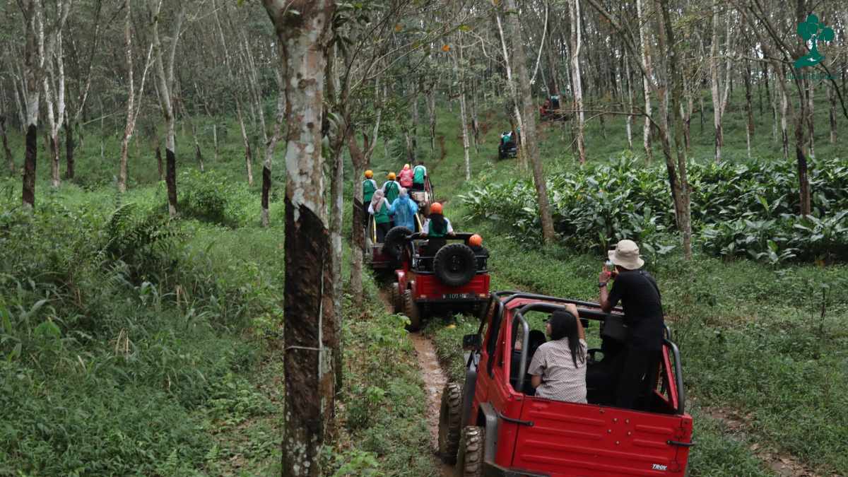 outing lindungihutan 2025 car