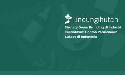 strategi green branding
