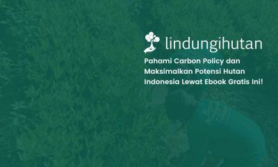 carbon policy pdf