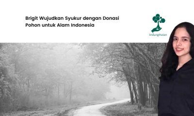 donasi-pohon-brigit