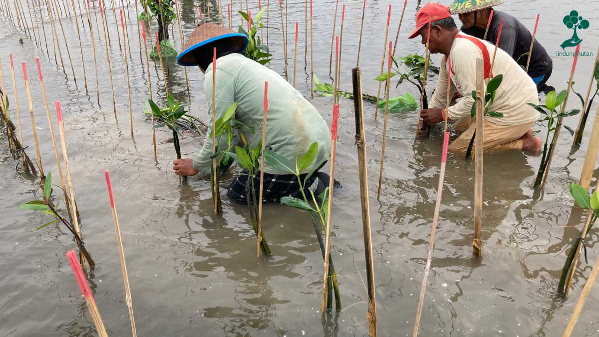 kampanye alam lindungihutan