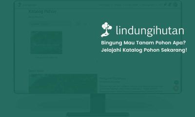 katalog pohon LH