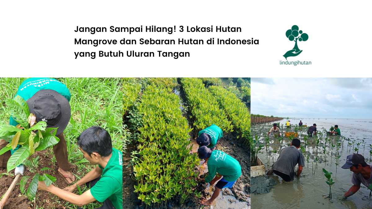 lokasi hutan butuh perhatian lindungihutan