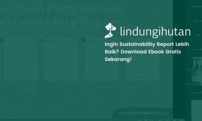 sustainability report pdf