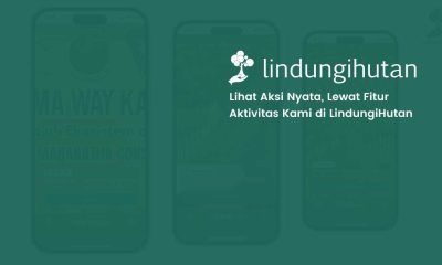 fitur aktivitas kami pwa lindungihutan