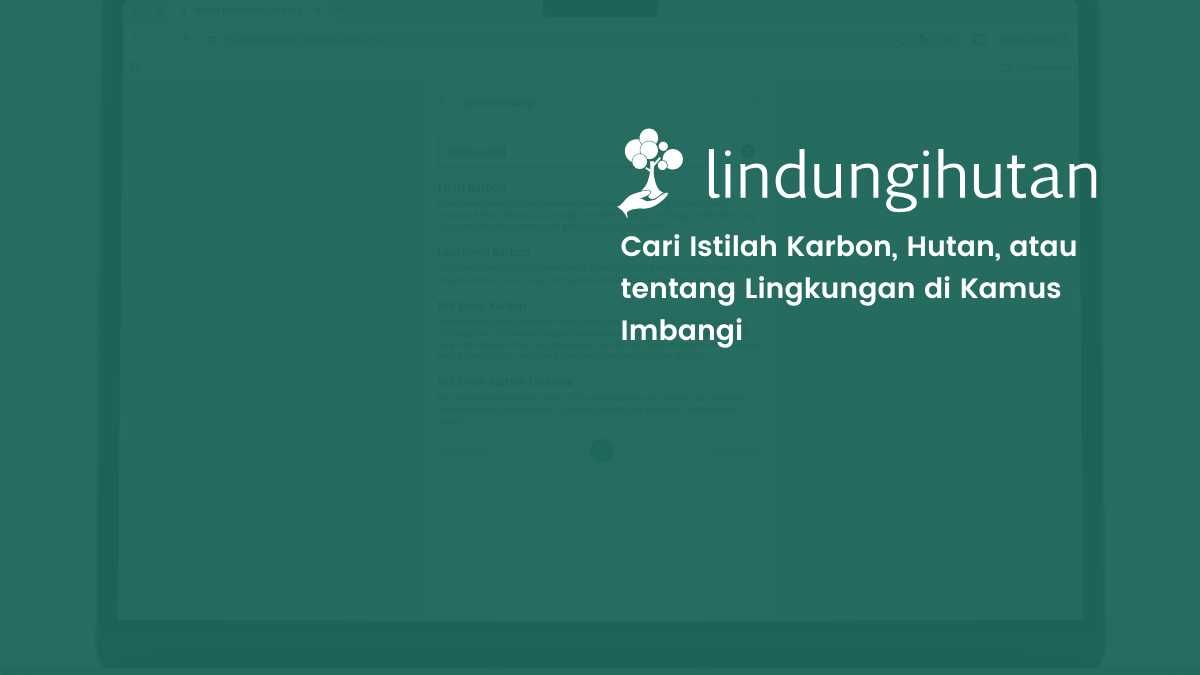 fitur pwa kamus imbangi