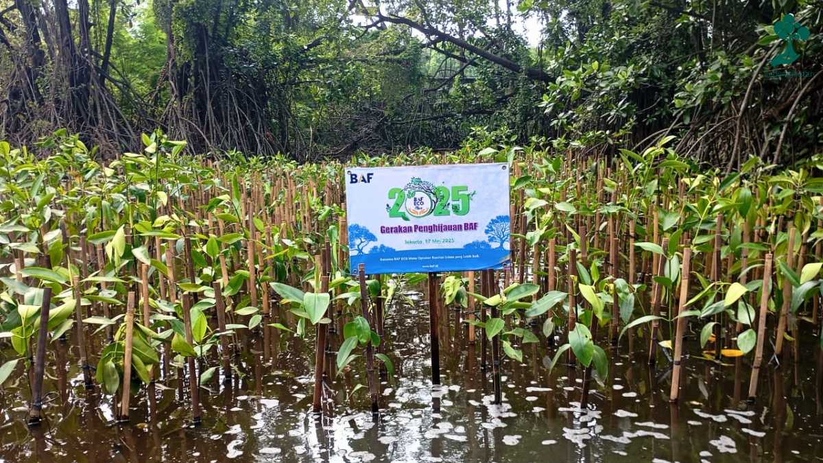 gerakan penghijauan baf 2025 lindungihutan